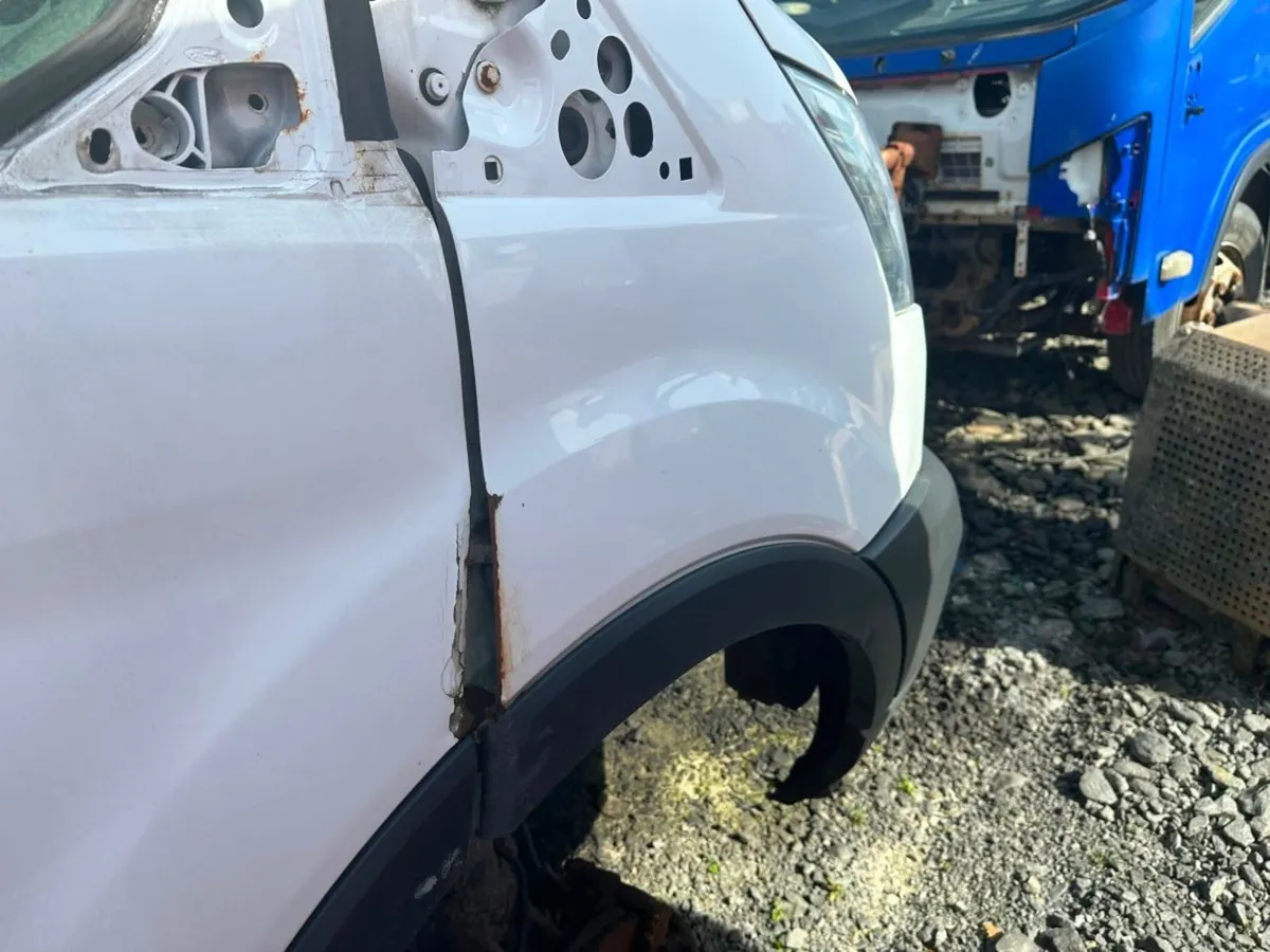 Additional Product Image