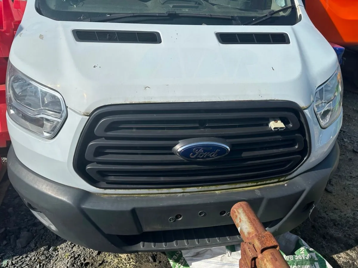 Additional Product Image