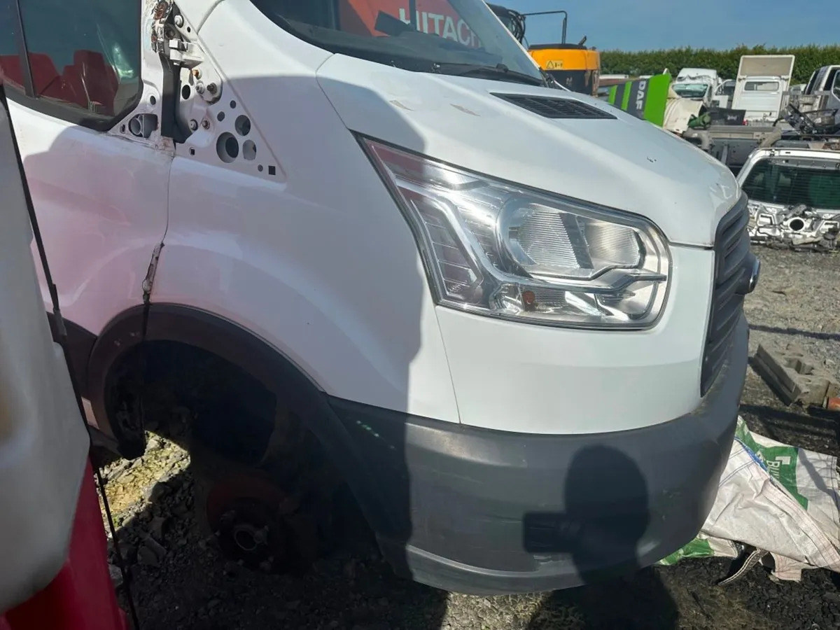 Additional Product Image