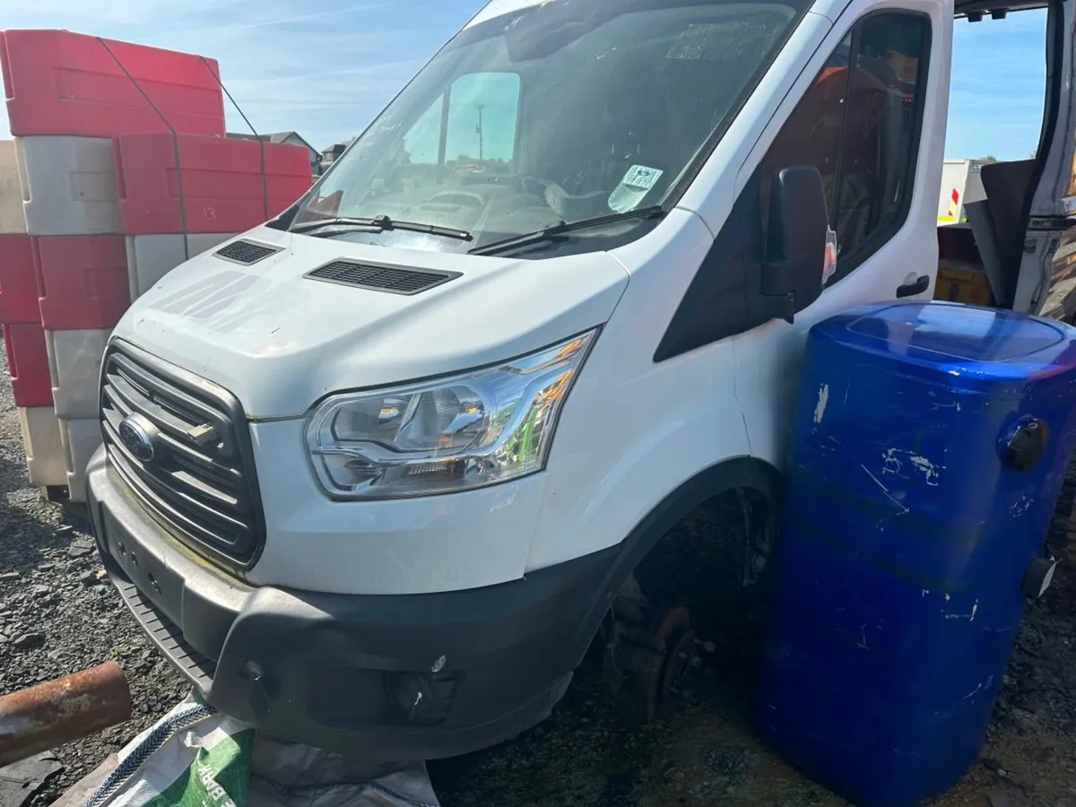 Additional Product Image